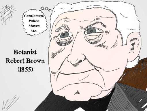 The botanist Robert Brown in caricature about geometric brownian motion